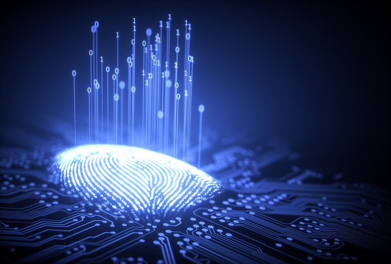 identity verification